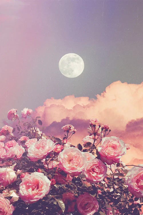 Aesthetic Rose Clouds And Full Moon