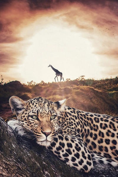 Leopards: Jaguar And Giraffe Wildlife Safari by GEN Z