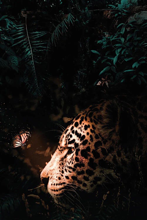 Jaguar And Luminous Butterfly