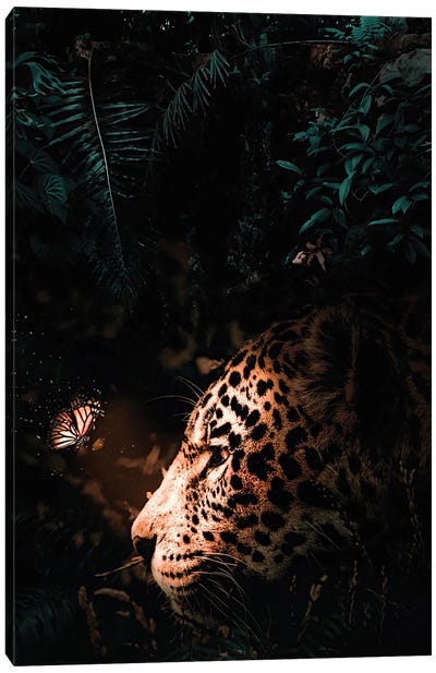 Jaguar And Luminous Butterfly Canvas Art Print - Monarch Metamorphosis