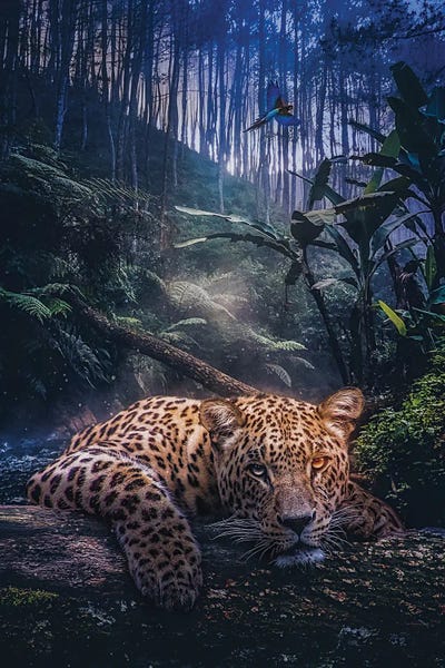 Jaguars: Jungle Leopard And Parrots Wildlife by GEN Z