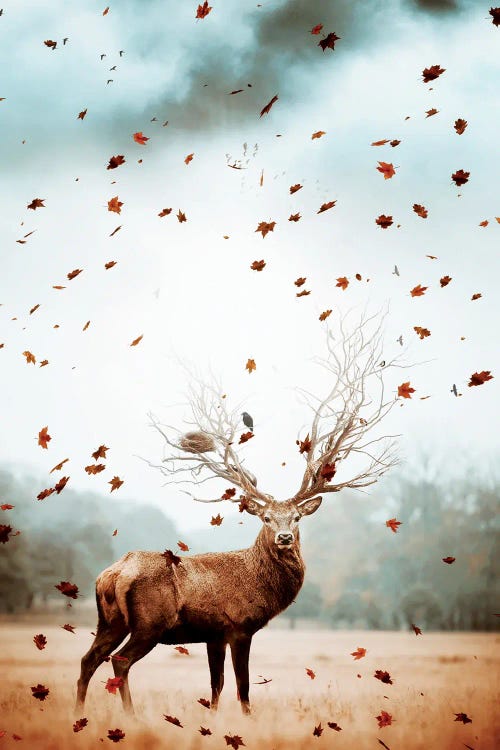 King Deer Of Forest And Flying Leaves