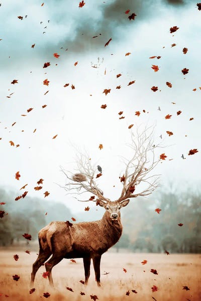 GEN Z: King Deer Of Forest And Flying Leaves by GEN Z