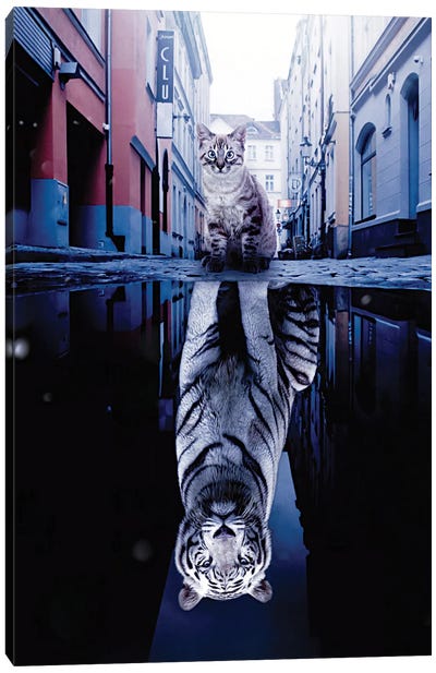 Kitten And Big White Tiger Puddle Reflection In City Canvas Art Print - Tiger Art