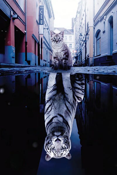 Through The Looking Glass: Kitten And Big White Tiger Puddle Reflection In City by GEN Z
