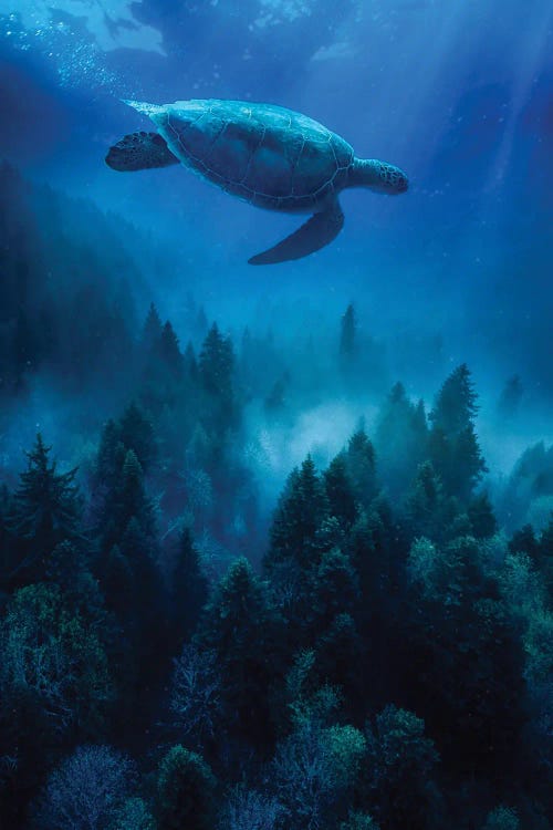 A Sea Turtle Swims Over The Forest Trees