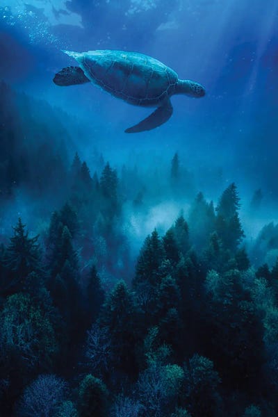 Turtles: A Sea Turtle Swims Over The Forest Trees by GEN Z