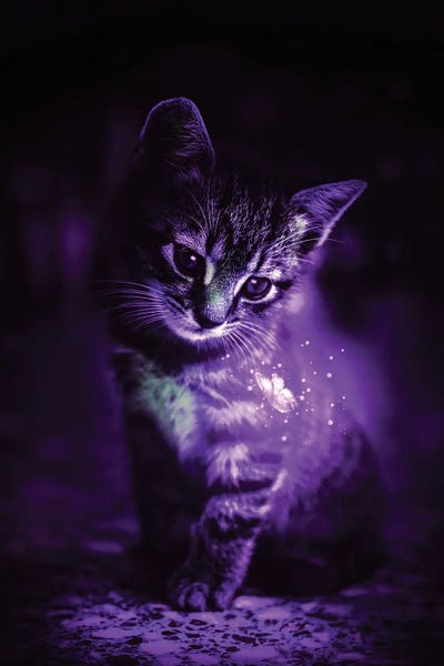 Kittens: Kitten And Blue Luminous Butterfly by GEN Z