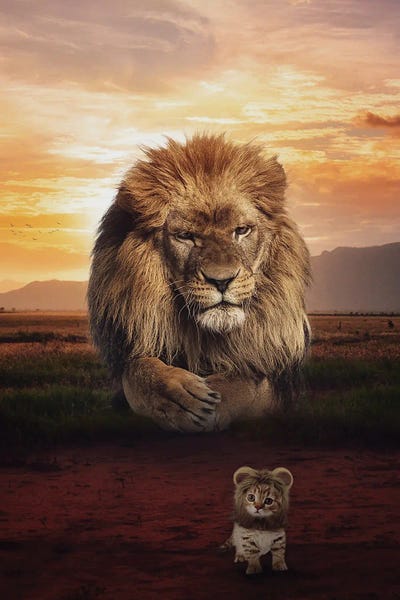 Kittens: Kitten Or Lion Baby In Savannah by GEN Z