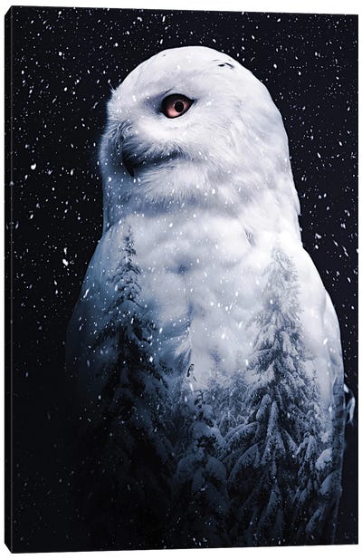 The Snowy Owl Double Exposition Canvas Art Print - GEN Z