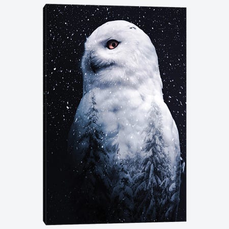 The Snowy Owl Double Exposition Canvas Print #GEZ123} by GEN Z Canvas Art Print