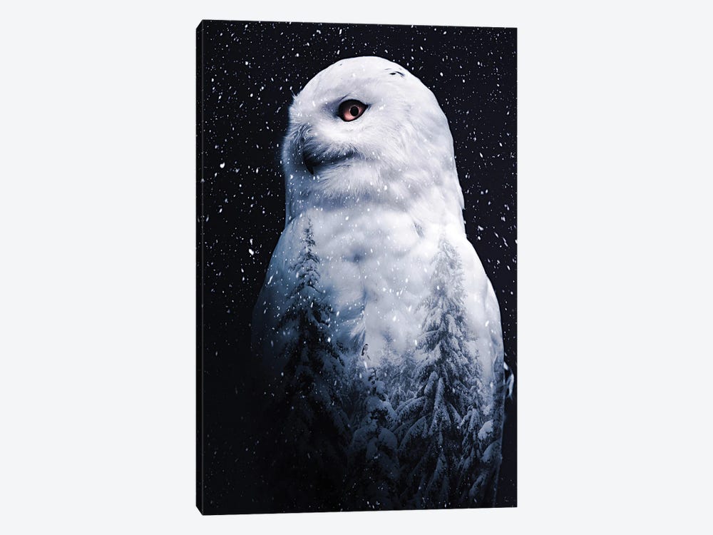 The Snowy Owl Double Exposition by GEN Z 1-piece Canvas Art Print