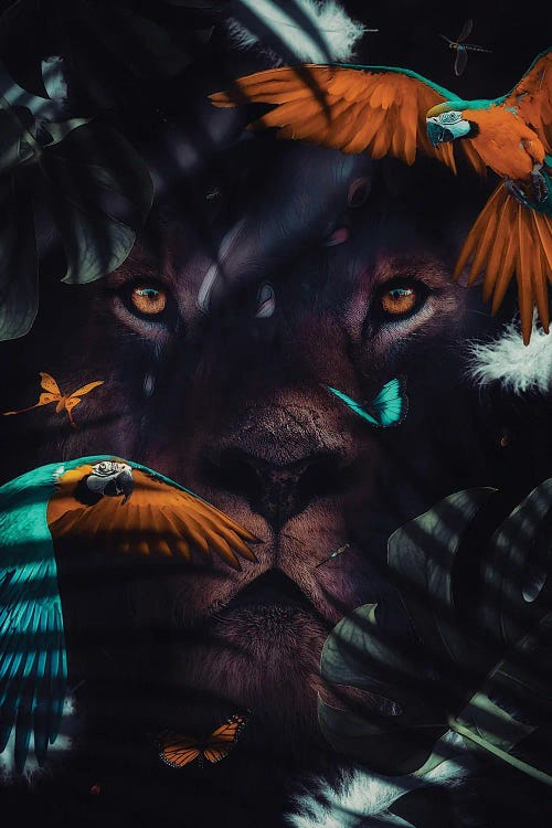 Lion Portrait And Parrots In Jungle