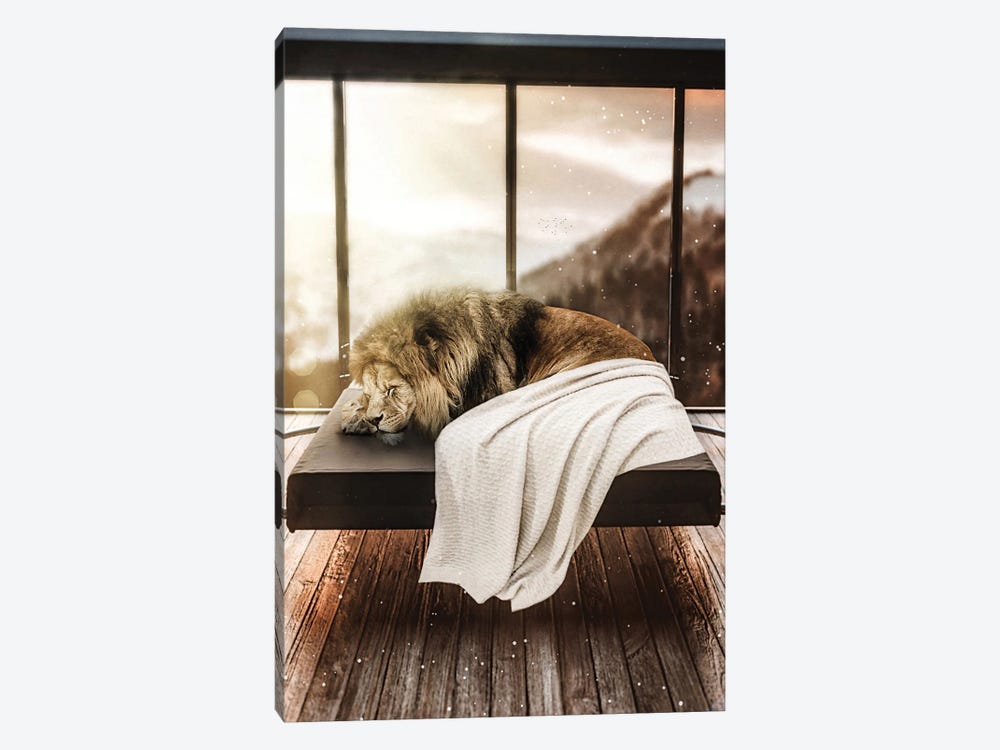 Lion Taking A Nap And Sleeping by GEN Z 1-piece Canvas Print