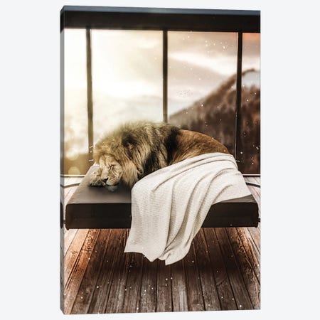 Lion Taking A Nap And Sleeping Canvas Print #GEZ125} by GEN Z Canvas Wall Art