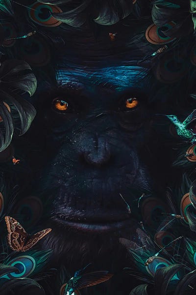 GEN Z: Monkey Portrait And Peacock Feathers by GEN Z