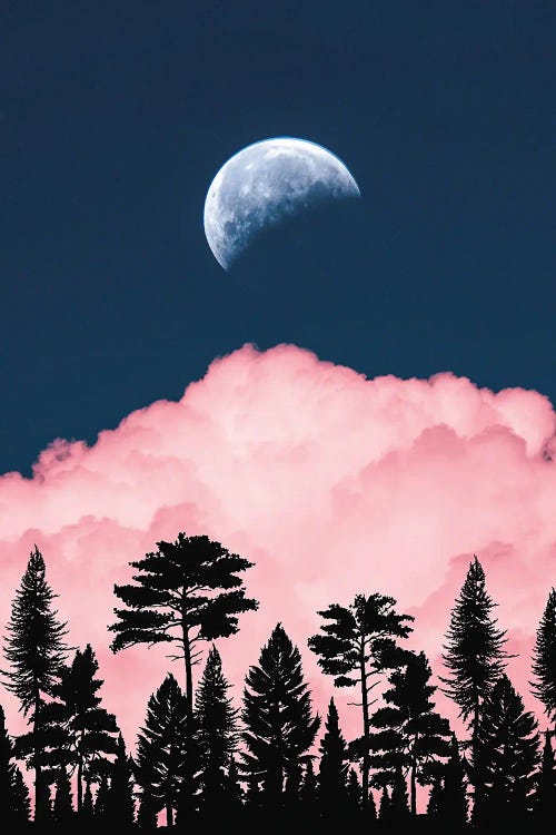 Full Moon, Pink Cloud And Forest Silhouette