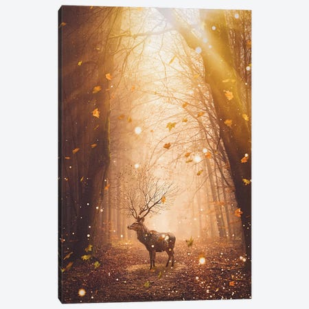 Morning Magic Deer In The Forest Canvas Print #GEZ129} by GEN Z Art Print