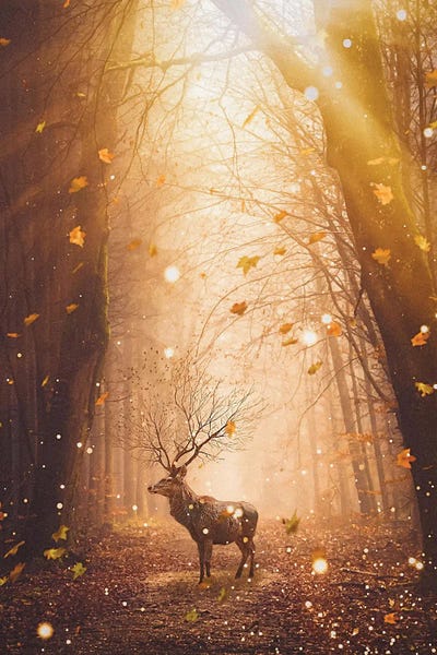 GEN Z: Morning Magic Deer In The Forest by GEN Z