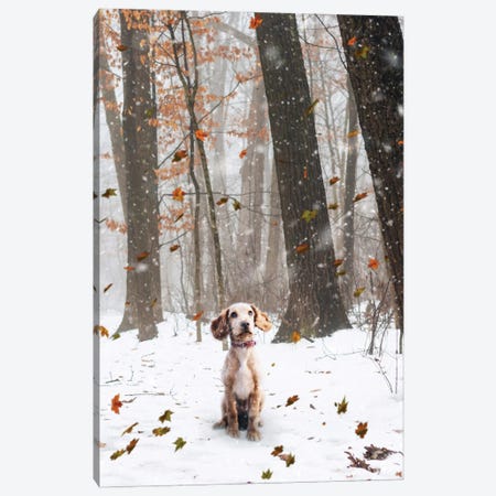 A Small Dog Standing Under The Falling Snow And Autmnal Leaves Canvas Print #GEZ12} by GEN Z Canvas Wall Art