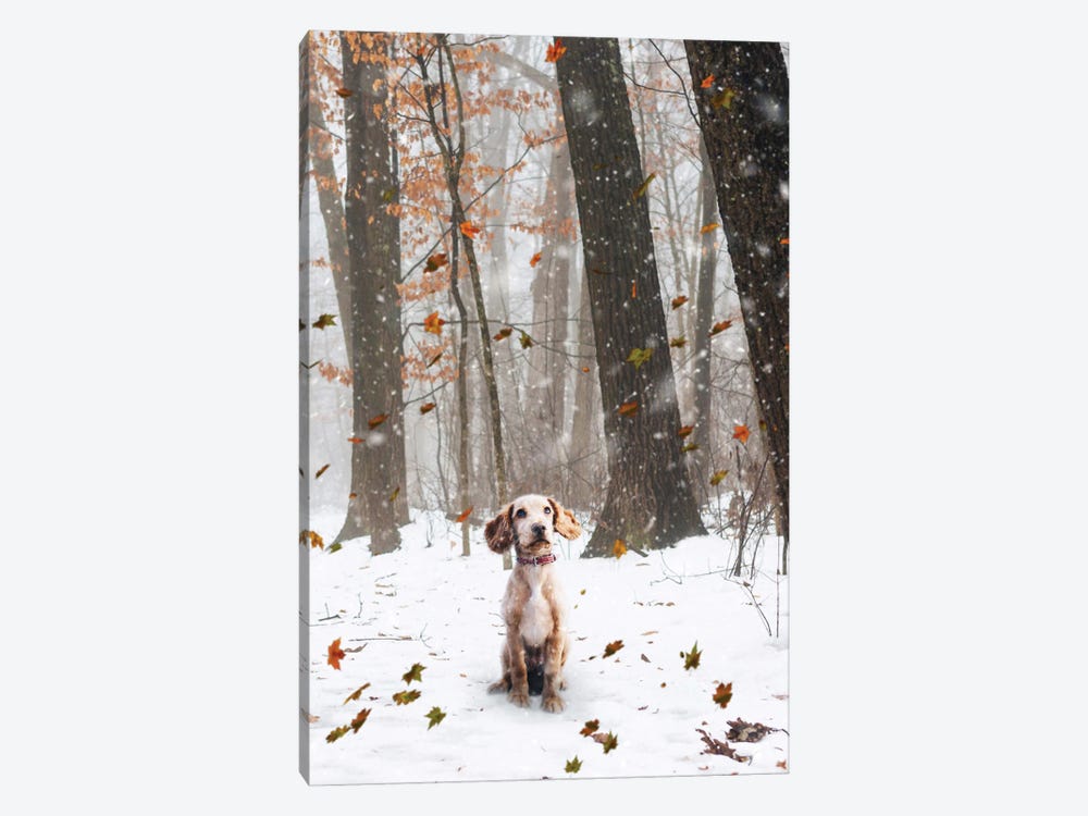 A Small Dog Standing Under The Falling Snow And Autmnal Leaves by GEN Z 1-piece Canvas Art Print