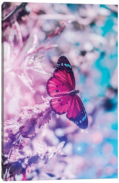 Pink Butterfly On Flowers In Front Off Blue Sky Canvas Art Print