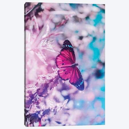 Pink Butterfly On Flowers In Front Off Blue Sky Canvas Print #GEZ135} by GEN Z Canvas Print