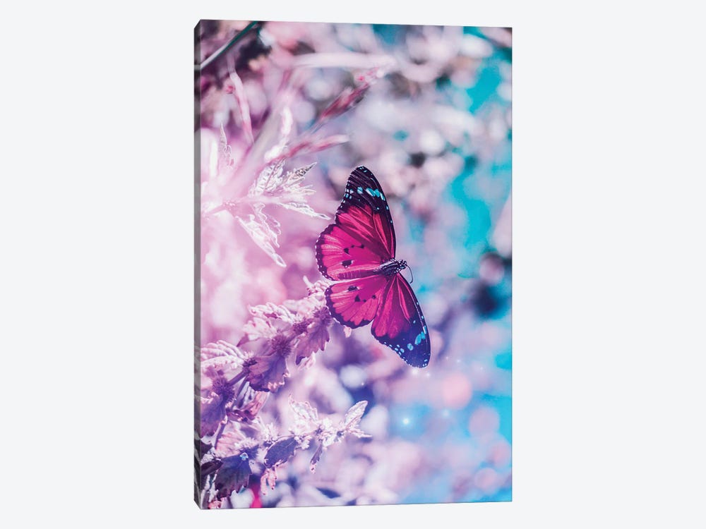 Pink Butterfly On Flowers In Front Off Blue Sky by GEN Z 1-piece Canvas Art