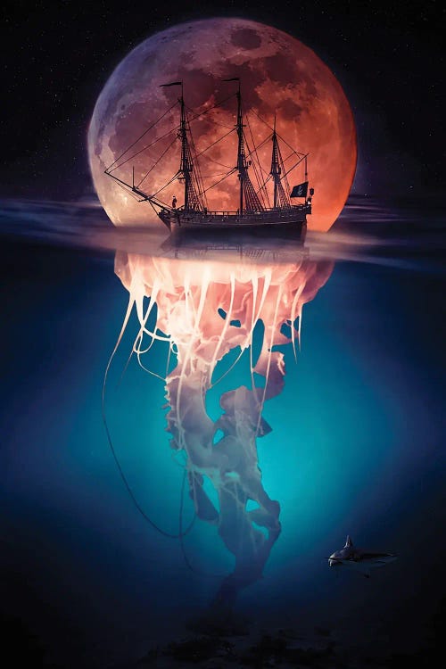 Pirate Jellyfish And Red Moon by GEN Z wall art