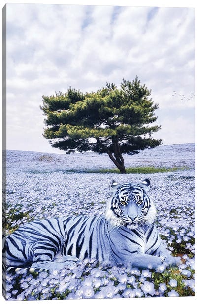 Purple Tiger Lying In Meadow Flowers Canvas Art Print - Tiger Art