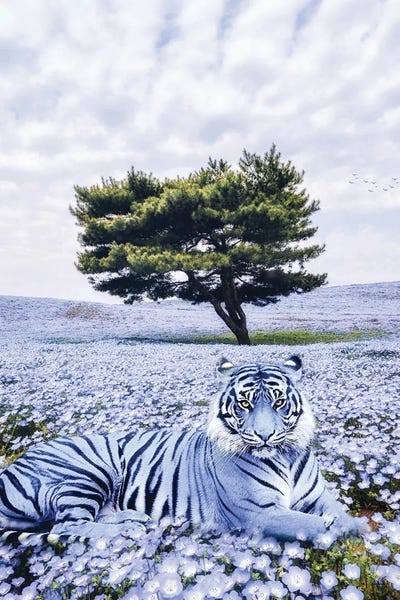 Tigers: Purple Tiger Lying In Meadow Flowers by GEN Z