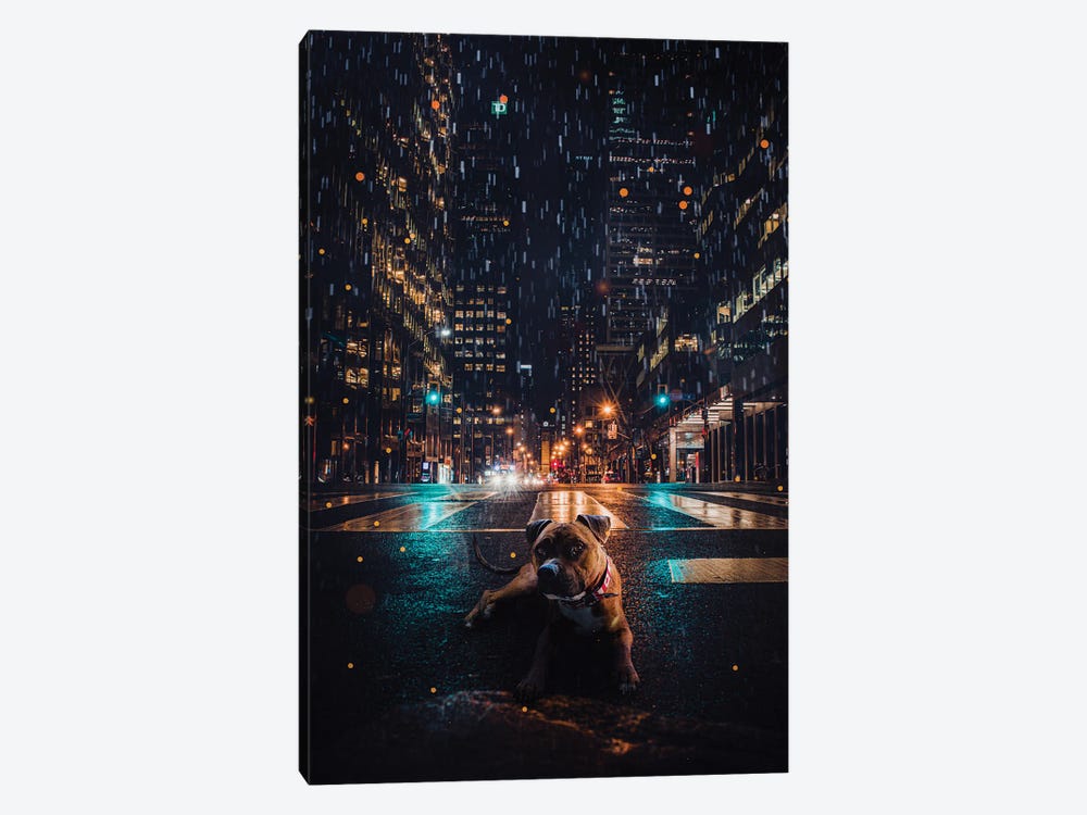 Rain Dog Street City Night by GEN Z 1-piece Canvas Wall Art