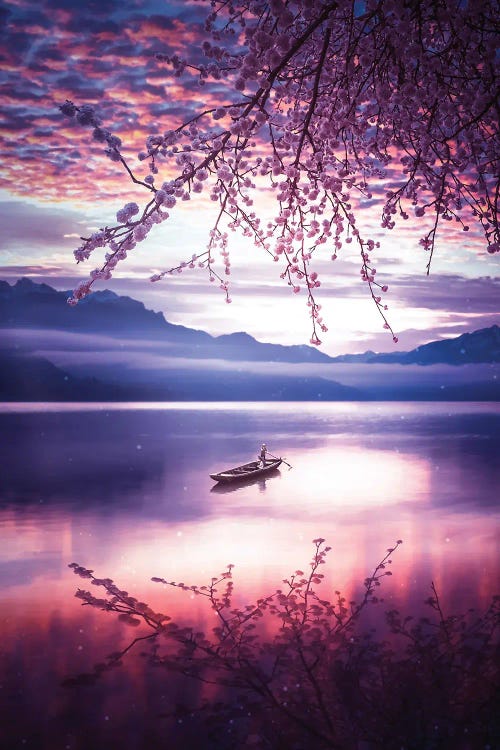 Lake Reflection Japanese Cherry And Canoe