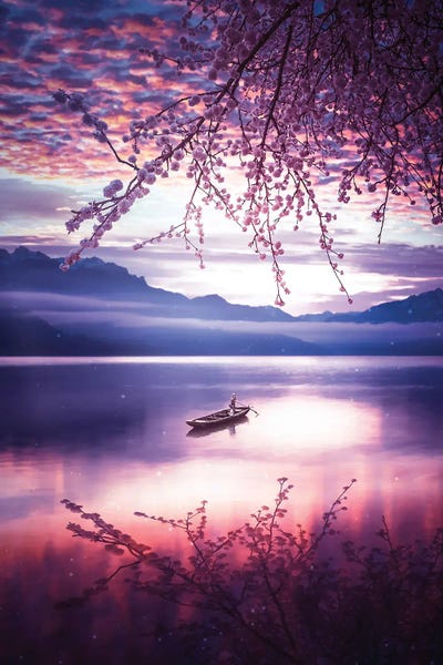 Canoes: Lake Reflection Japanese Cherry And Canoe by GEN Z