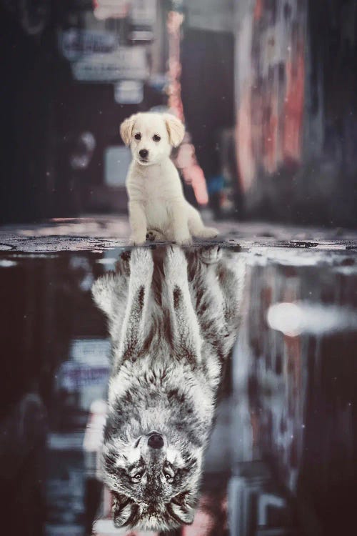 Teen Wolf, A Reflection Of Puppy In A Puddle Street by GEN Z wall art