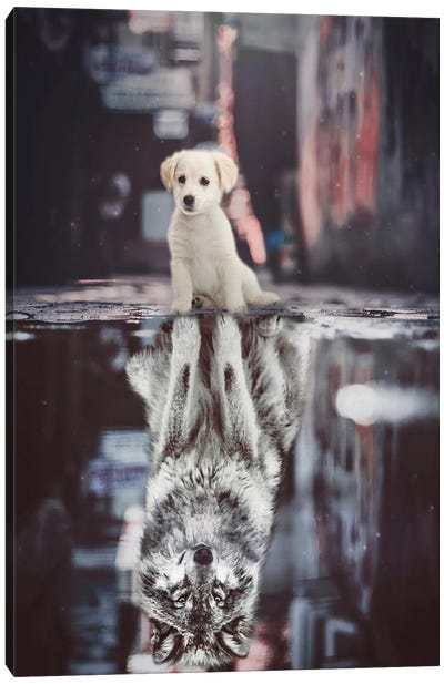 Teen Wolf, A Reflection Of Puppy In A Puddle Street Canvas Art Print - Baby Animal Art