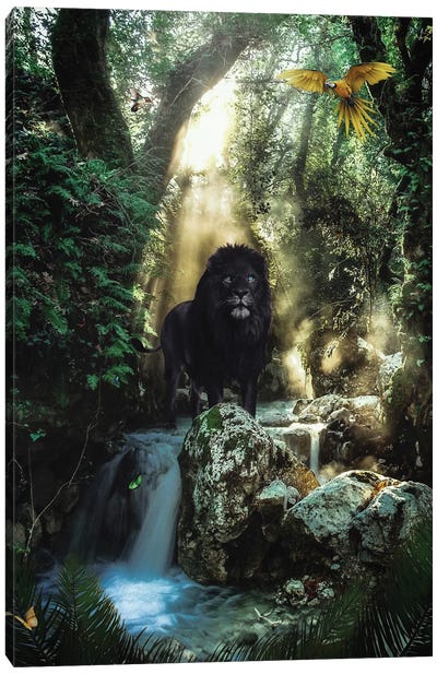 The Black Lion With Blue Eyes In The Jungle Canvas Art Print - GEN Z