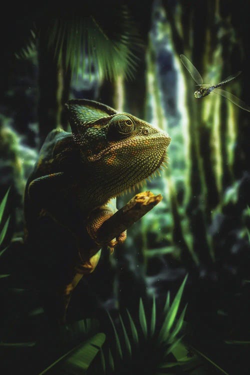 The Chameleon And The Dragonfly In The Exotic Jungle