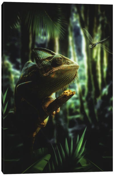 The Chameleon And The Dragonfly In The Exotic Jungle Canvas Art Print - Chameleons