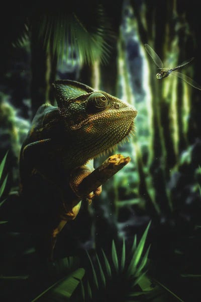 The Chameleon And The Dragonfly In The Exotic Jungle