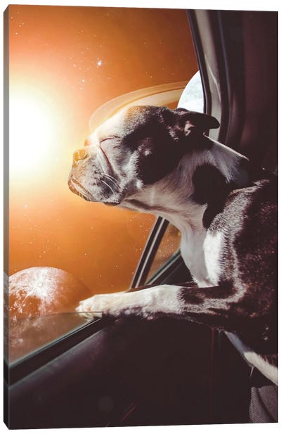 The Dog In Car In Orange Space World Canvas Art Print - Art for Dad