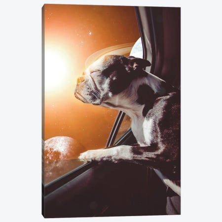 The Dog In Car In Orange Space World Canvas Print #GEZ177} by GEN Z Art Print