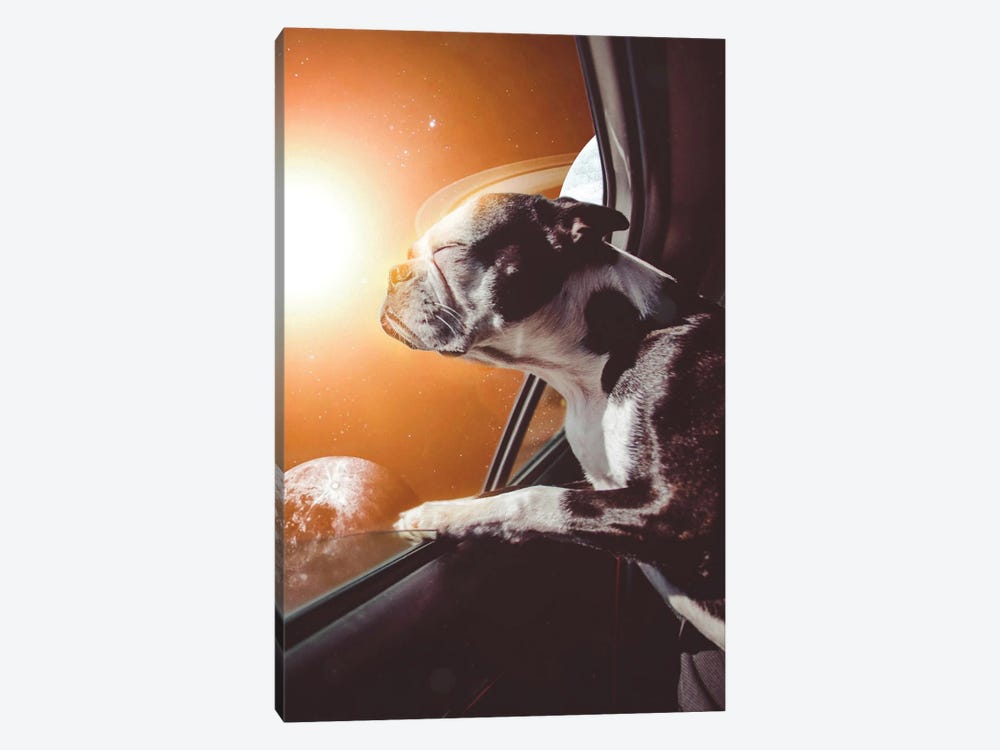 The Dog In Car In Orange Space World by GEN Z 1-piece Canvas Artwork