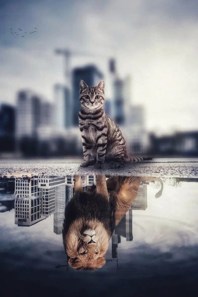 Through The Looking Glass: The Lion City, A Reflection Cat In Puddle by GEN Z