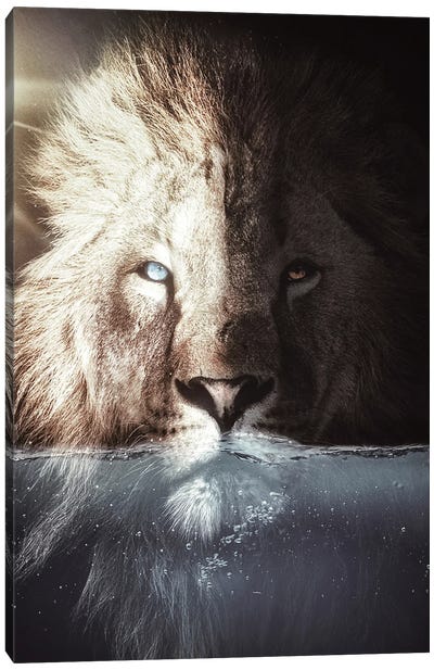 The King Lion In His Bath Canvas Art Print - GEN Z