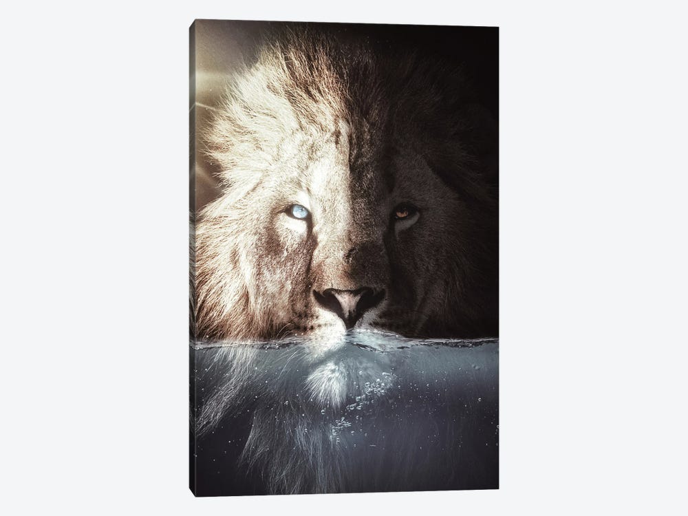 The King Lion In His Bath by GEN Z 1-piece Canvas Wall Art