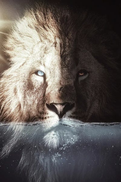 GEN Z: The King Lion In His Bath by GEN Z