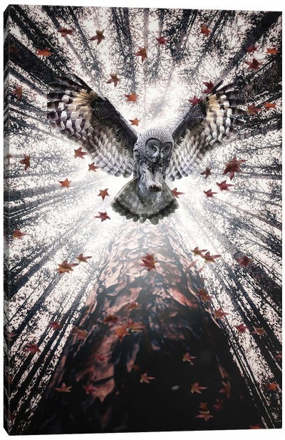The Majestic Owl In Forest Canvas Art Print - GEN Z