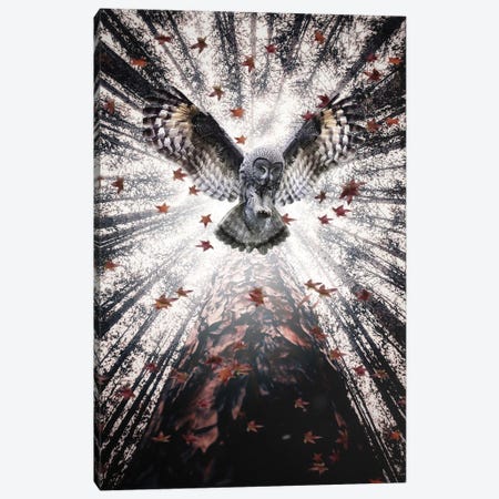 The Majestic Owl In Forest Canvas Print #GEZ181} by GEN Z Art Print