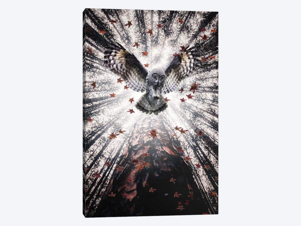 The Majestic Owl In Forest by GEN Z 1-piece Art Print